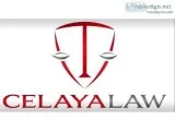 Estate Lawyer