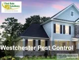 Pest Termite control services in Westchester NY