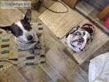 better than a garage sale