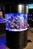 Glass Aquarium for Sale form Aqua Vim