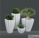 Yuccabe Italia - Leading and Popular Company Selling Indoor and 