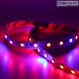 Best LED Grow Light Strips DC 12 V Full Spectrum