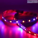 Best LED Grow Light Strips DC 12 V Full Spectrum