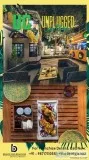 Best Consultant for Unplugged Courtyard Franchise