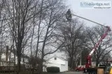 Tree Service Quote in North NJ