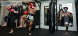 Are You Looking For RockSteady Boxing Exercise Class