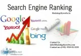 Best SEO Agency in USA  Call at 91 9319-51-2225