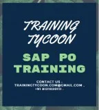 SAP PO Training