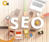 Best SEO Services Company in Delhi  iBrandox