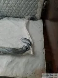 Bed Bug Control Services
