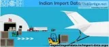 Obtain 100% Authentic Indian Import Data from a Trusted Source