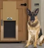 Pet Door Installation
