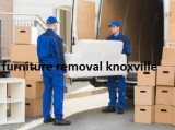 Furniture Removal Services in Knoxville TN  Shepherds
