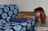 Declawed male tabby to good home
