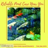 Reliable Pond Care Near You