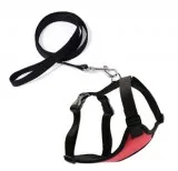 Buy Soft Nylon Cat Collar Harness and Leash Set ShoppySanta