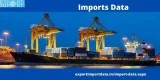 Detailed imports data online