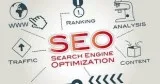 seo expert delhi