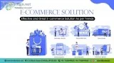 Custom E-commerce Website Development Services in India