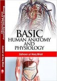 Basic human anatomy and physiogy