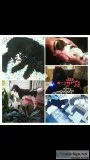 Standard POODLES