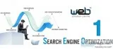 Search engine optimization in delhi