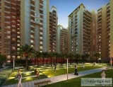 23BHK Flats at Faizabad Road Lucknow