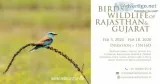 birding and wildlife tours west india