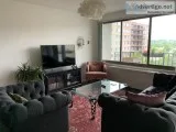 Large 1BD1BA Apartment