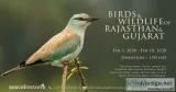 famous bird watchers in india