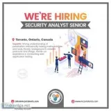 Hiring Security Analyst Senior in Toronto