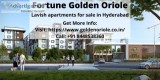 Best price offer available in Fortune Golden Oriole Price
