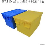 Plastic packing boxes for moving in Sydney by Koala Box