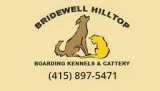 Dog Boarding in San Rafael