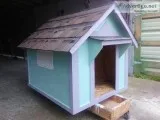 new dog houses