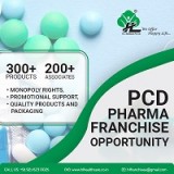Pcd pharma franchise - hl healthcare