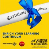 Certified diversity professional programme (cdp)