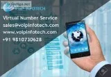 The Factors Associated to the Virtual Number Services