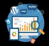 Web Design Company in Hyderabad