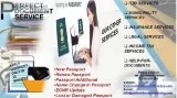 Passport Document Service Passport Agent - Perfect Document Serv