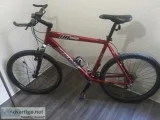 Specialized 29 in HR comp