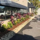 Best Landscaping Company in Tampa Florida