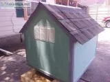 new dog houses