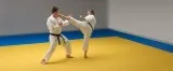 Judo Mats in Delhi