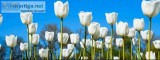 Commercial Lawn Maintenance Dallas Mckinney