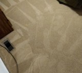 Top-Rated Carpet Cleaning Services In Mabank TX