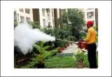 Pest Control in Model Town