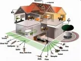 Termite inspection Orange county  Bed bug control Dutchess