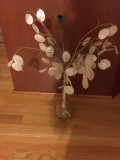 Silver DollarMoney Plant Arrangement