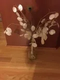 Silver DollarMoney Plant Arrangement